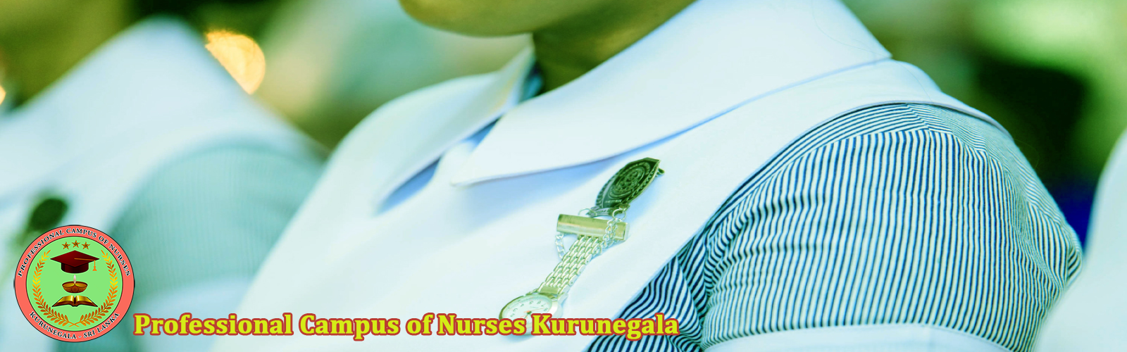 Be a Qualified Nurse in Private Sector of the Nursing Service 