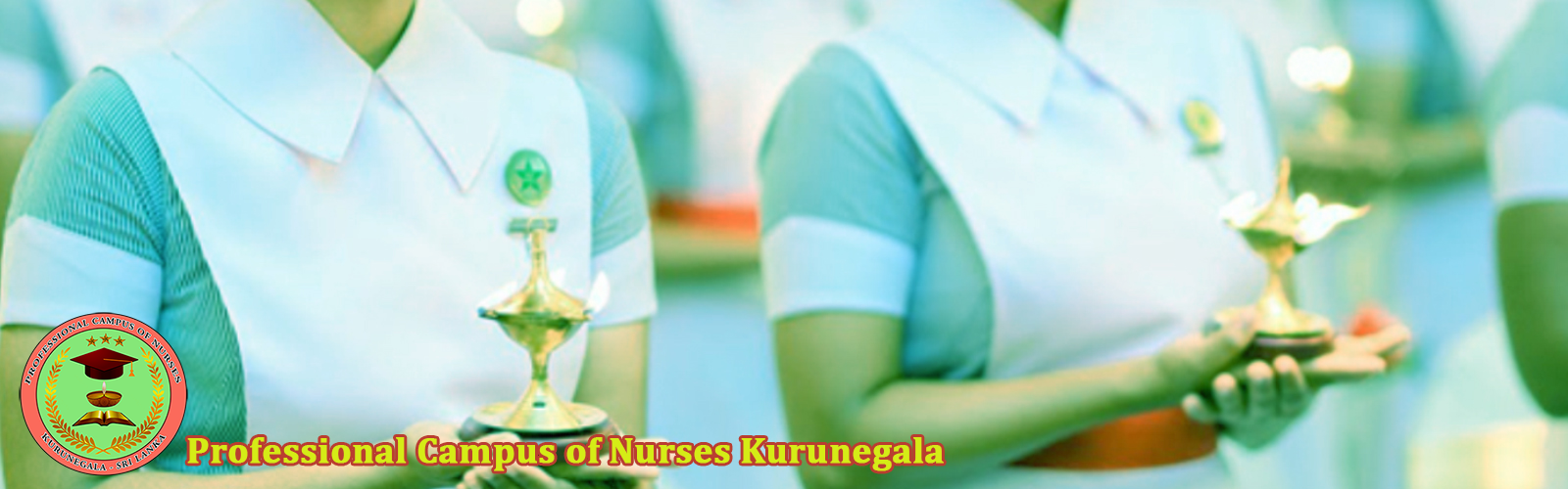 HND in Nursing NVQ Level 6 Professional Qualification